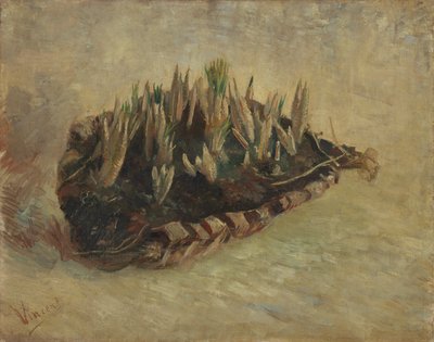 Basket of Crocus Bulbs by Vincent van Gogh